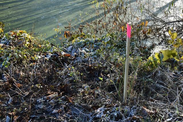 Foto: Waltraud Fischer