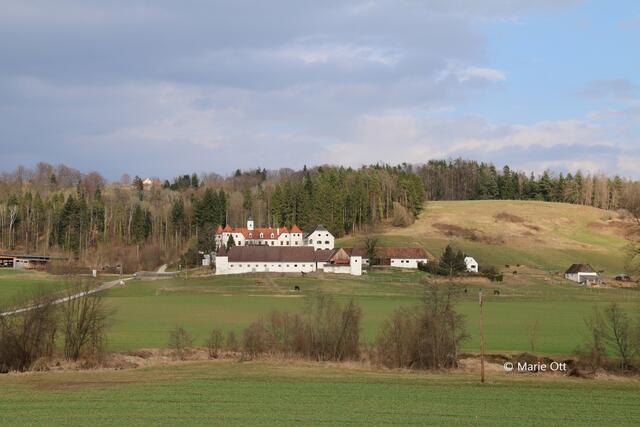 Schloss Dornhofen, Weihnachtsmarkt 2024