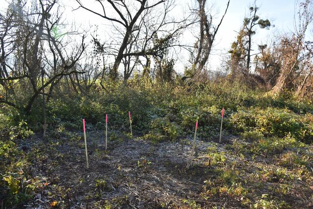 Foto: Waltraud Fischer