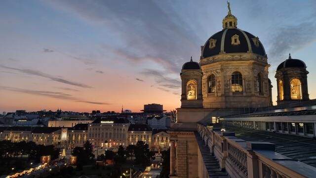 17.11.2024 Blick vom Dach des Naturhistorischen Museums bei einer Führung ( war sehr interessant)