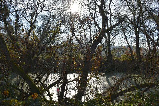 Foto: Waltraud Fischer