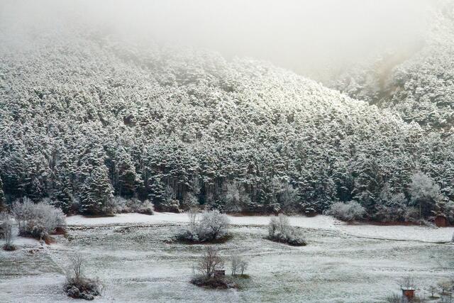 Bild 01: Zaghaft klopfte der Winter am Donnerstag bis auf 900 Höhenmeter am frühen Morgen an. | Foto: © by Ing. Günter Kramarcsik
