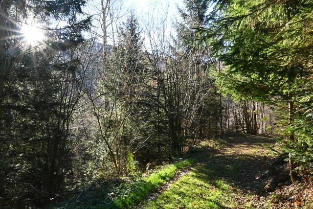 Ausflug nach Trattenbach: Der Wittgensteinweg und zum Alpengasthof ...