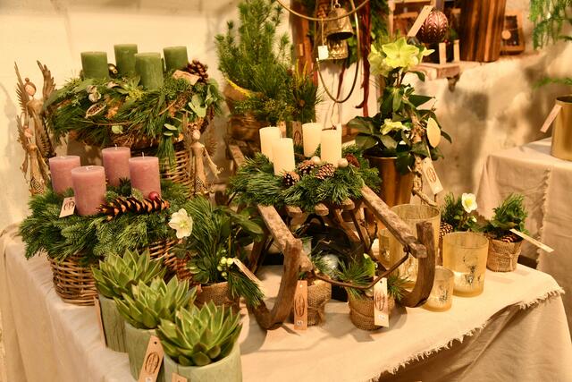 Foto: Erika Ganglberger