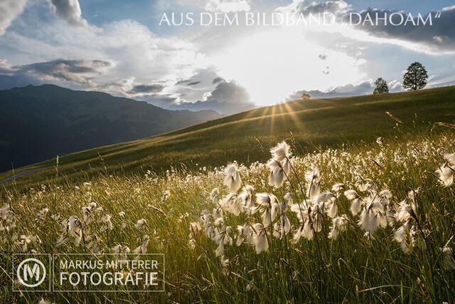 Foto: Markus Mitterer