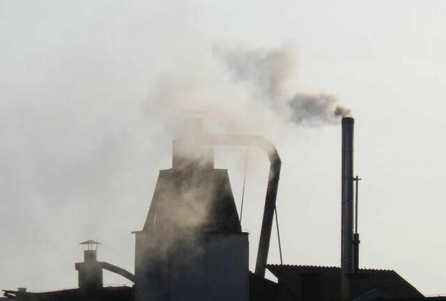 Foto: Umweltschutz vor Ort