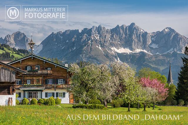 Foto: Markus Mitterer