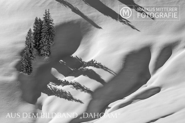 Foto: Markus Mitterer