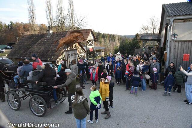 Foto: Gerald Dreisiebner