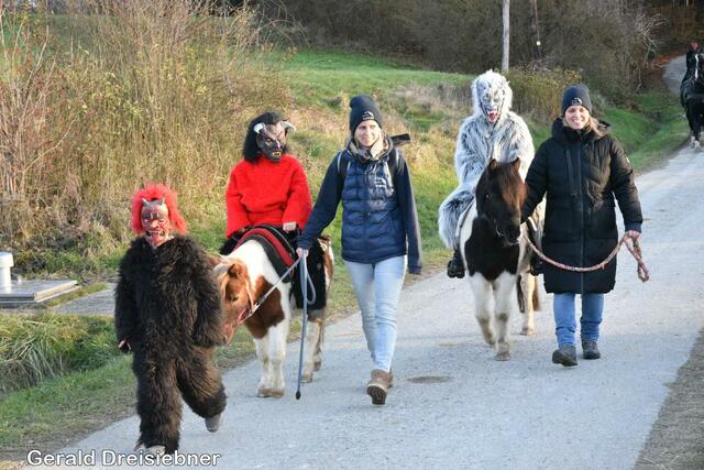 Foto: Gerald Dreisiebner