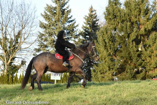 Foto: Gerald Dreisiebner