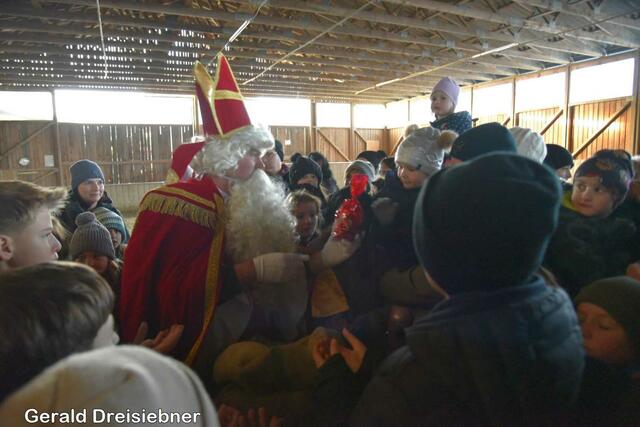 Foto: Gerald Dreisiebner