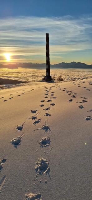 Foto: Doris Waditzer