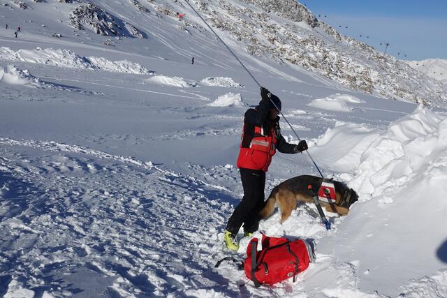 Gemeinsame Übung der Bergrettungshunde und Hundeführerinnen und Hundeführer in Hintertux. | Foto: zoom.tirol