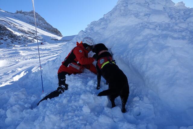 Enge Zusammenarbeit zwischen Bergrettungshund und Hundeführerin und Hundeführer im Einsatz. | Foto: zoom.tirol