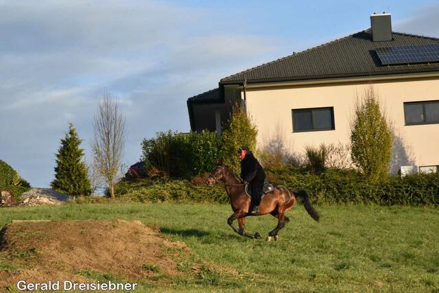 Foto: Gerald Dreisiebner