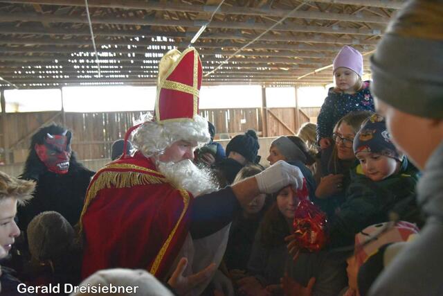 Foto: Gerald Dreisiebner