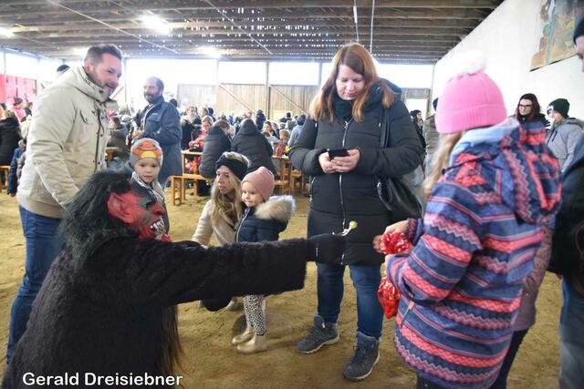 Foto: Gerald Dreisiebner