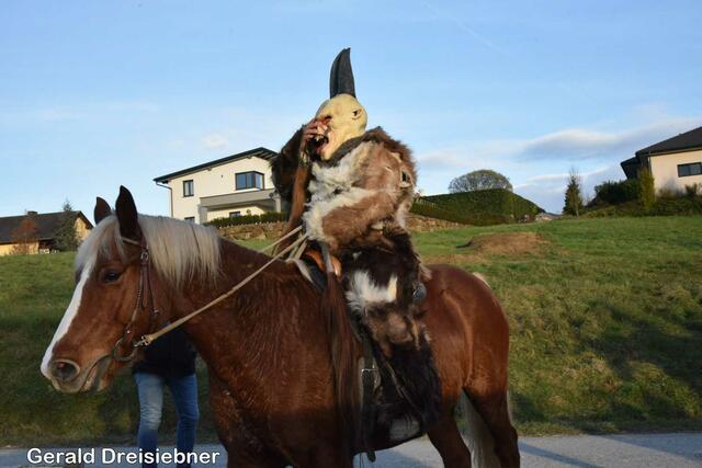 Foto: Gerald Dreisiebner