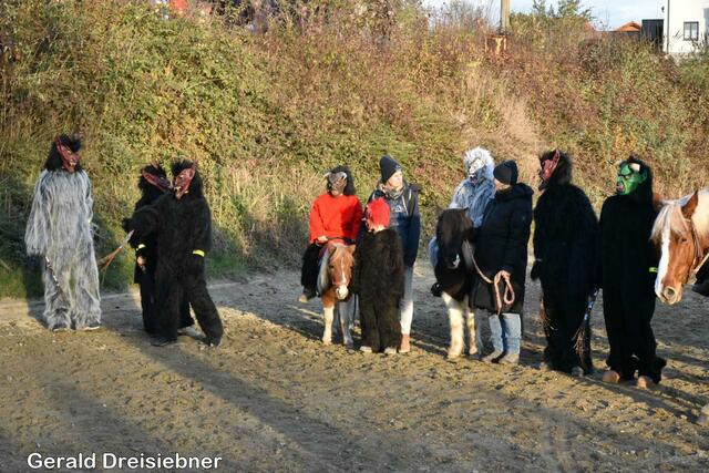 Foto: Gerald Dreisiebner