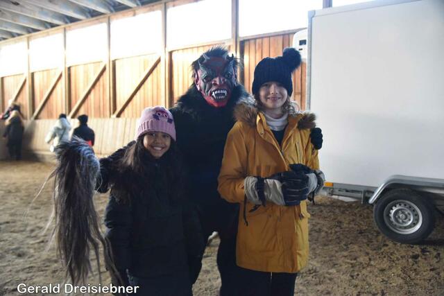 Foto: Gerald Dreisiebner