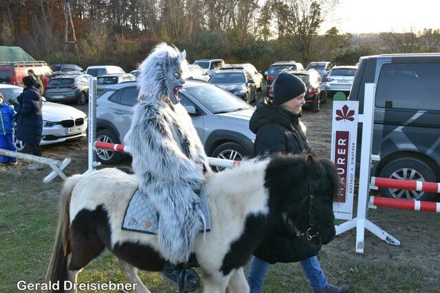 Foto: Gerald Dreisiebner