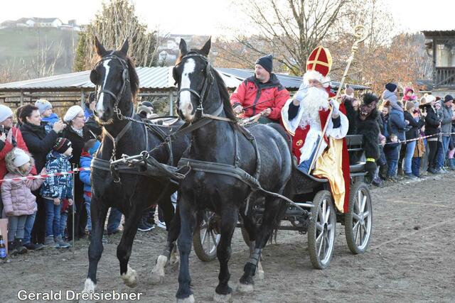 Foto: Gerald Dreisiebner