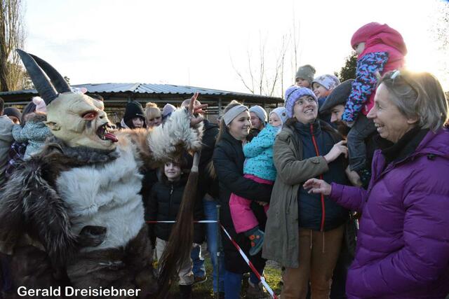 Foto: Gerald Dreisiebner