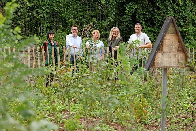 "Wiener Wäldchen sind eine gute Möglichkeit, auch in dicht bebauten Gebieten grüne Oasen zu schaffen. Diese Mini-Wälder tragen nicht nur zur Abkühlung der Umgebung bei, sondern bieten auch Lebensraum für zahlreiche heimische Pflanzen und Tiere", freut sich Wiens Klimastadtrat Jürgen Czernohorszky (SPÖ) über den neuesten Zuwachs. | Foto: Stadt Wien/Martin VOTAVA
