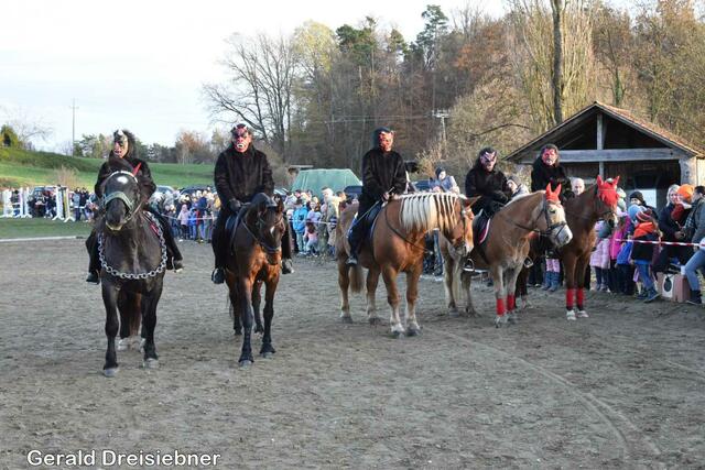 Foto: Gerald Dreisiebner