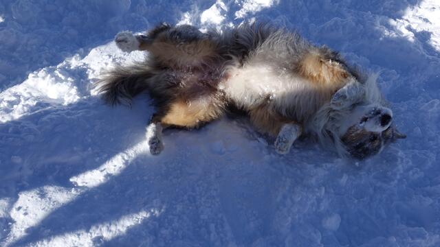 Nach einem erfolgreichen Einsatz eine kleine Erholungspause. | Foto: zoom.tirol