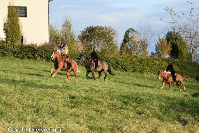 Foto: Gerald Dreisiebner