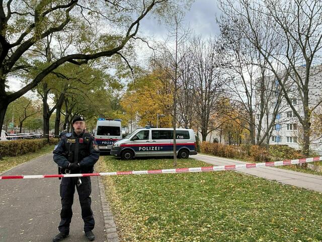 In diesem Bereich gegenüber des Spitals wurde das Baby tot aufgefunden. | Foto: Ronja Reidinger/MeinBezirk