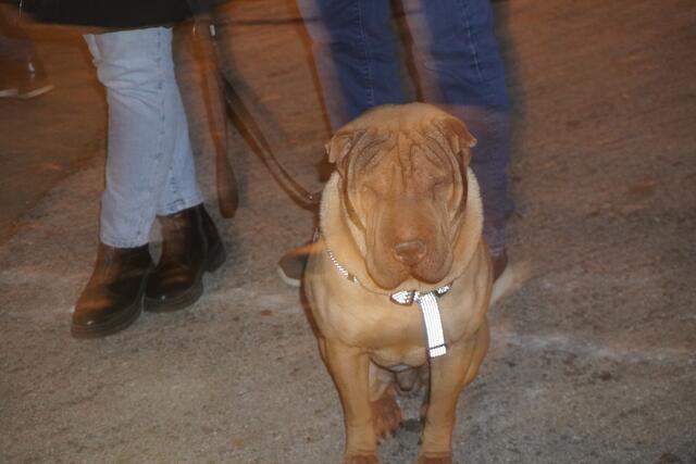 Foto: Michael Strini