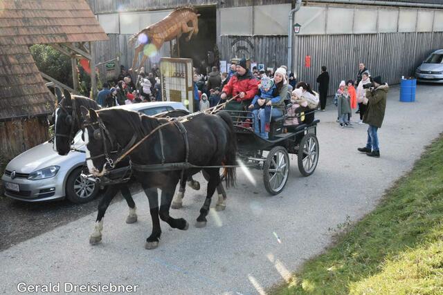 Josef Mercus fuhr gegen eine Freiwillige Spende eine kleine Runde mit der Kutsche.  | Foto: Gerald Dreisiebner