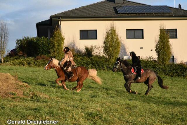 Foto: Gerald Dreisiebner