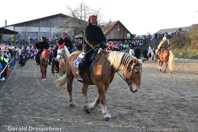 Foto: Gerald Dreisiebner