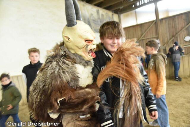 Foto: Gerald Dreisiebner