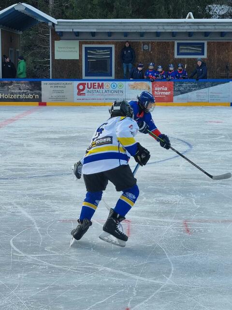 Die junge Ehrwalder Mannschaft hat hart gekämpft, musste sich aber am Ende den Haien aus Innsbruck geschlagen geben. | Foto: ECE