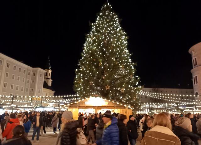 Unser Weihnachtsbaum | Foto: H. Bachinger