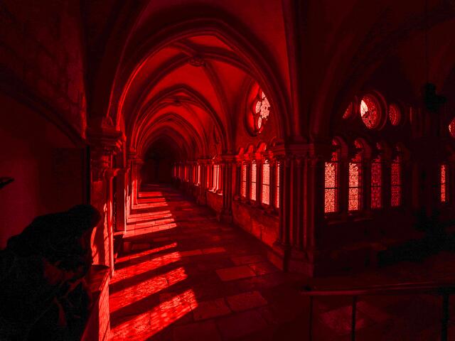 Stift Heiligenkreuz | Foto: Stift Heiligenkreuz, Elisabeth Fürst