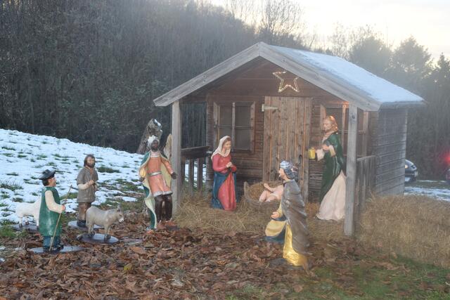 Foto: Elisabeth Kloiber