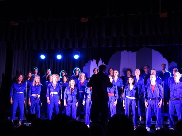 Choriosum begeistert mit einer Mischung aus traditionellen und modernen südtiroler Liedern. | Foto: Otto Zeisler