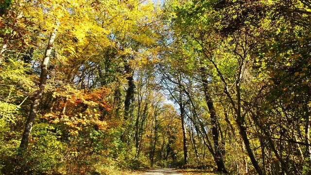 Eingang zum Naturpark ...  | Foto: © Silvia Plischek
