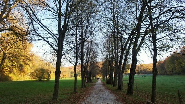 In der Lindenallee ... | Foto: © Silvia Plischek