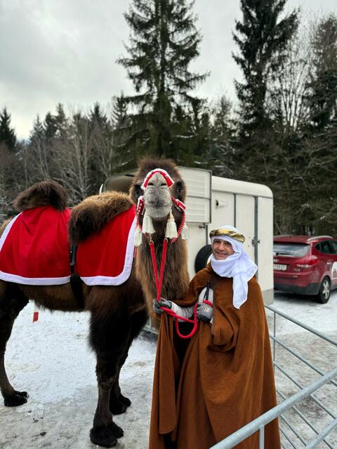 Auch das Kamel "Monty" besuchte die Adventausstellung in der Gärnterei Viehböck. | Foto: Viehböck