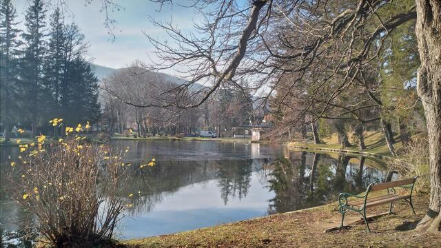 Kurpark-Teich