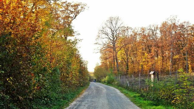 Am Rückweg ... | Foto: © Silvia Plischek