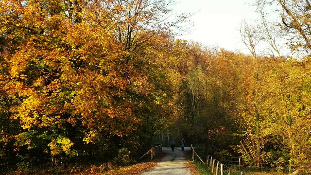 Am Rückweg ... | Foto: © Silvia Plischek