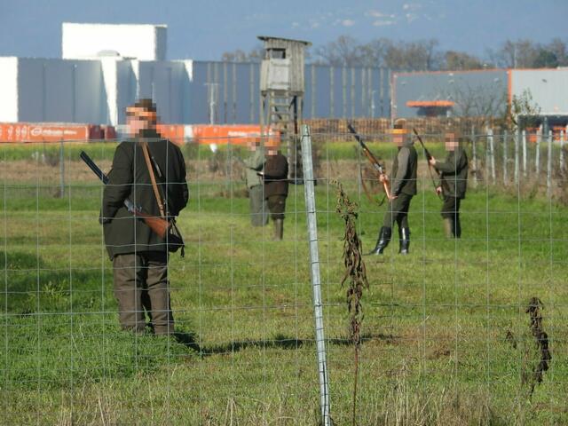 Die Jagd fand zwischen Gewerbegebiet und Autobahn A9 statt. | Foto: VGT.at